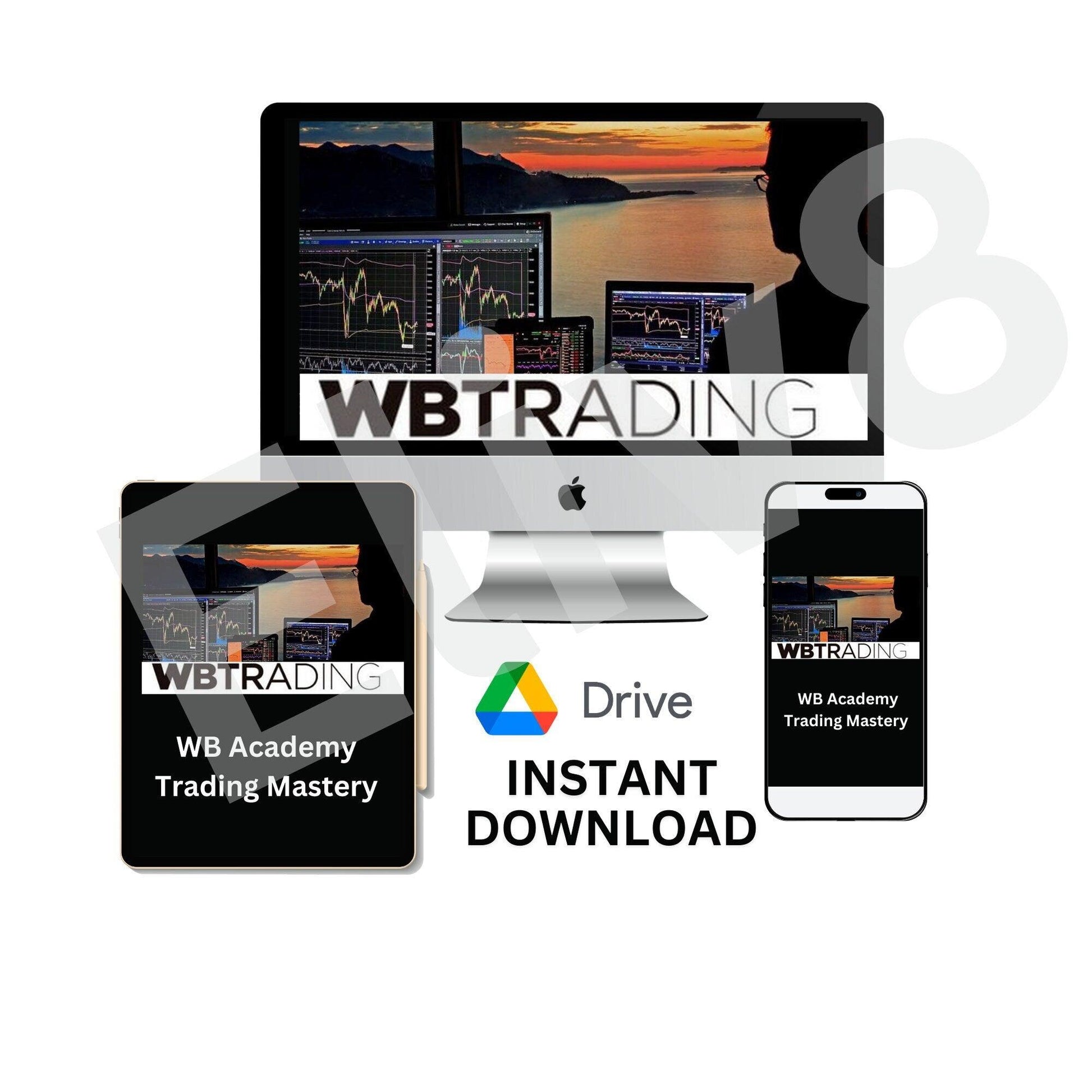 WB Academy Trading Mastery: Elevate Your Profits with Expert-Led Courses - Eliv8 Digitals